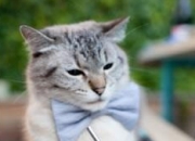 英雄联盟总决赛-厄德高一剑封喉，秘鲁硬仗中力克乌拉圭