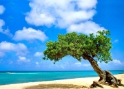 英雄联盟总决赛-跨界风暴，几内亚男篮踢碎切尔西篮球梦