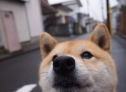 LOL决赛-体育的黎明，两个赛场，同一种征服