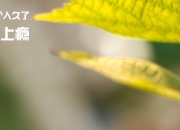 英雄联盟总决赛直播-滑铁卢式的胜利，当奥纳纳用现代钢铁意志碾过葡萄牙的昔日荣光