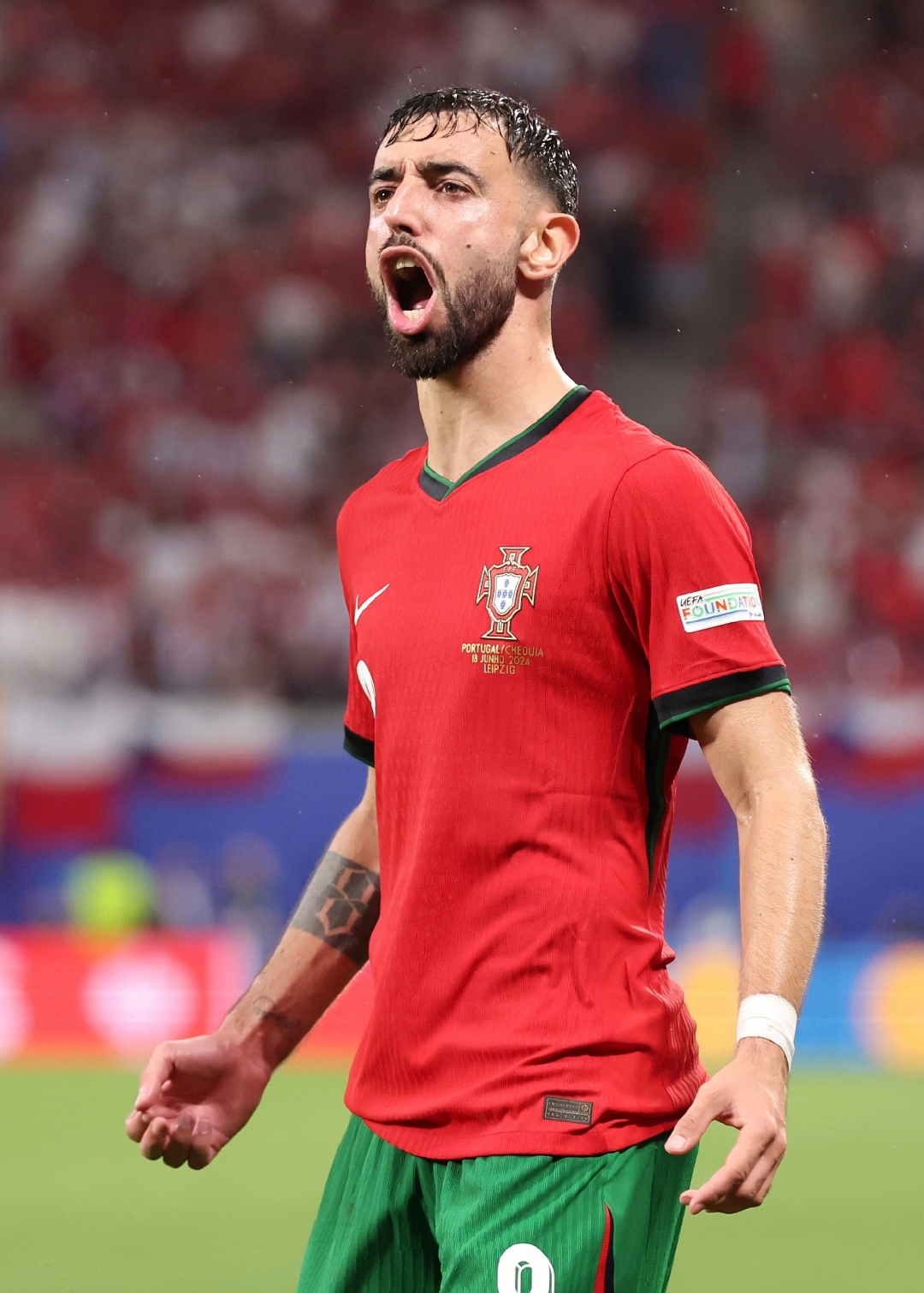 包含捷克国家队战绩不俗，实力引人注目的词条