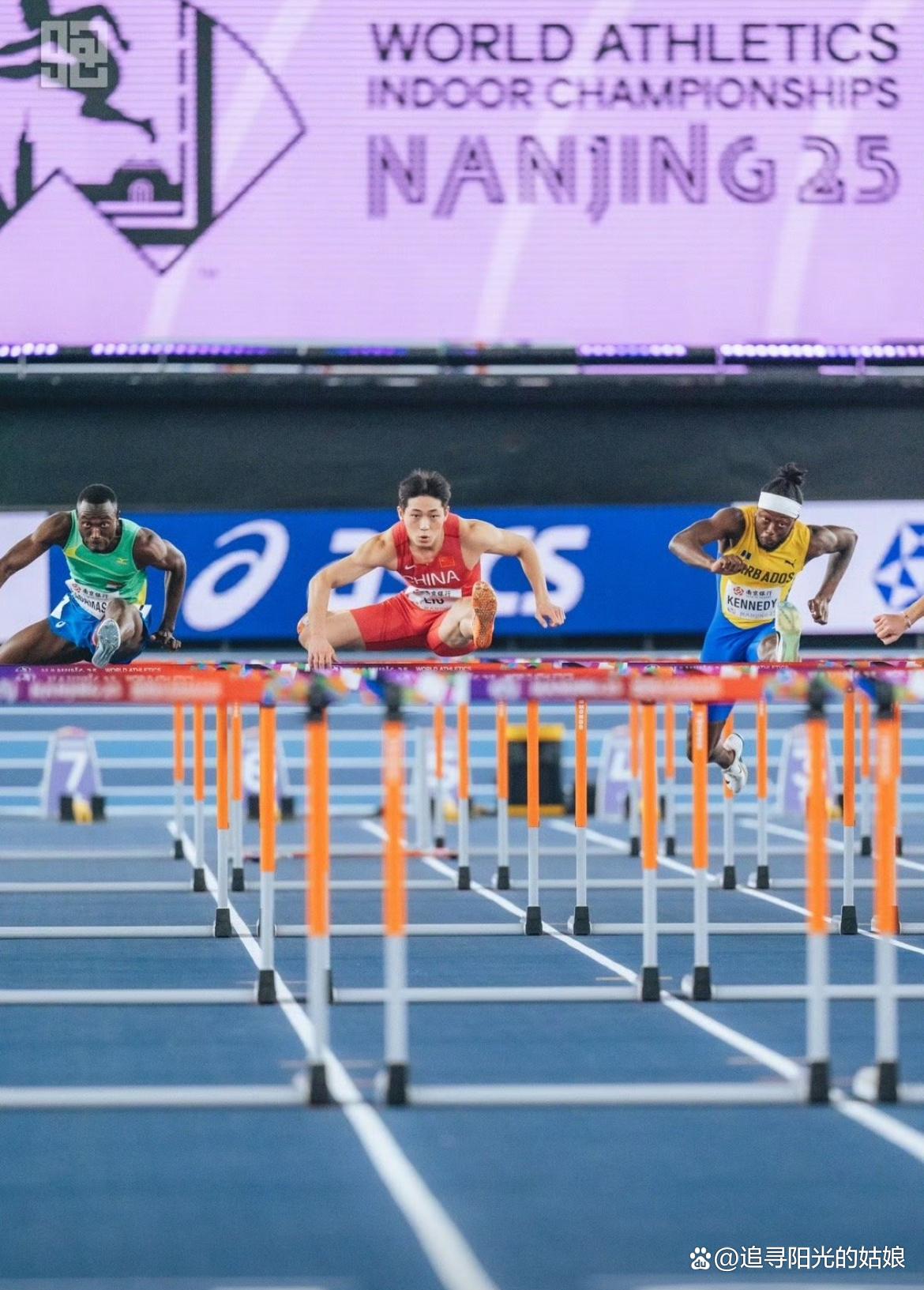 关于运动员勇创佳绩，收获观众喝彩的信息