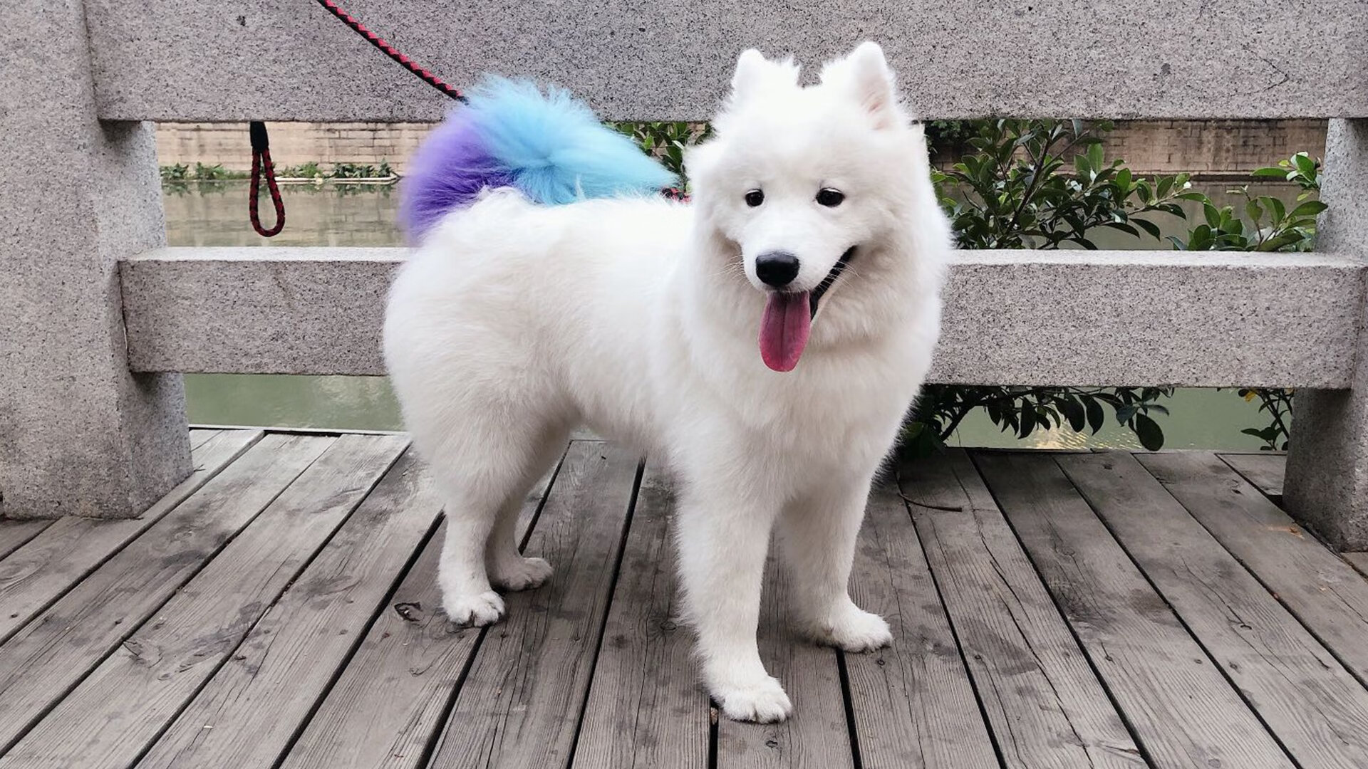 土耳其风暴与韩国铁闸,当悬念提前终结,金玟哉已成现象