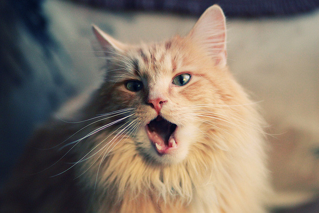 一个NBA球星如何主导西甲国家德比?