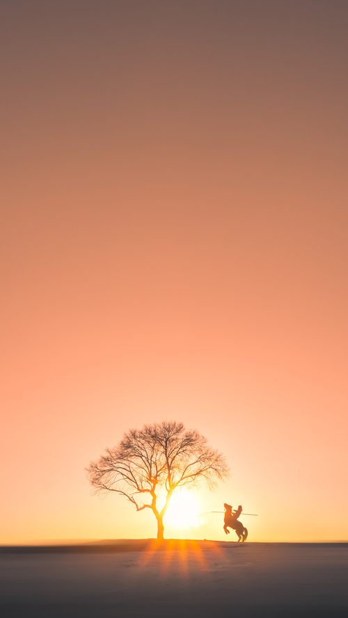 篮网横扫北京队预热全球浪潮，克莱2026世界杯接管比赛谱写传奇新篇