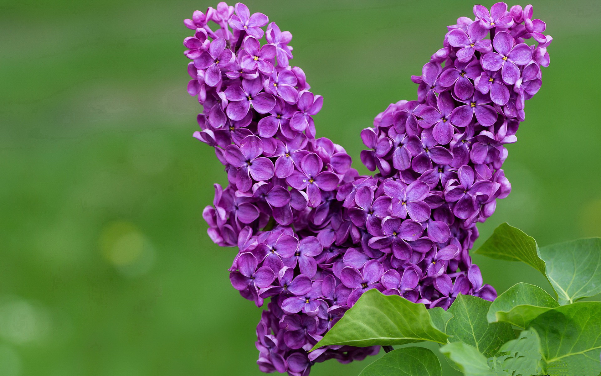 闪电破城!唯一瞬间改写历史,阿克点燃赛场的非典型英雄主义