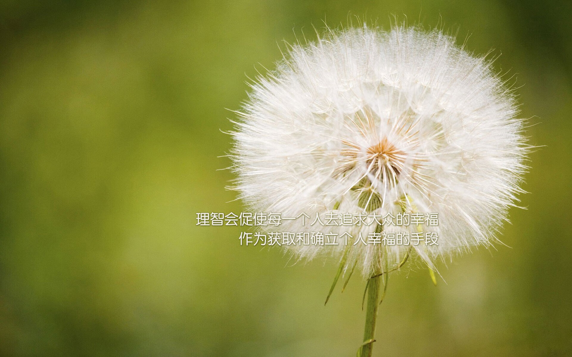 孔德，吹响攻防转换的魔笛，在争冠之夜演奏逆转交响