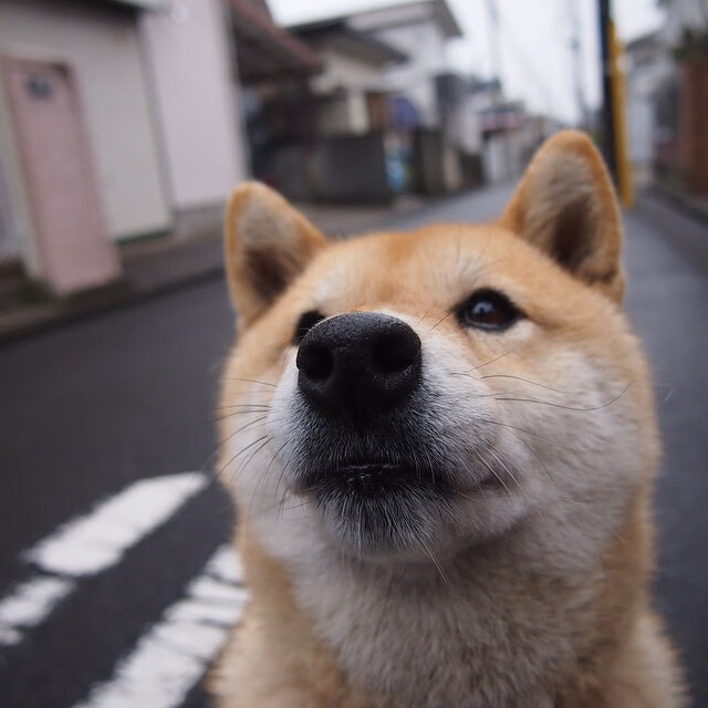 体育的黎明，两个赛场，同一种征服