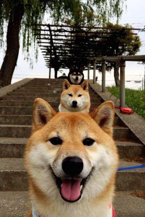 霍勒迪冷血封喉，沉默杀手的爆发，让篮网提前缴械