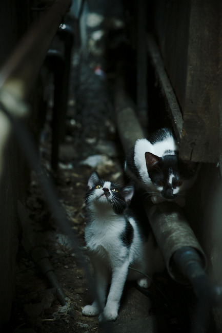 唯一性之战，奥运周期关键焦点战，马德里竞技如何打穿乌克兰