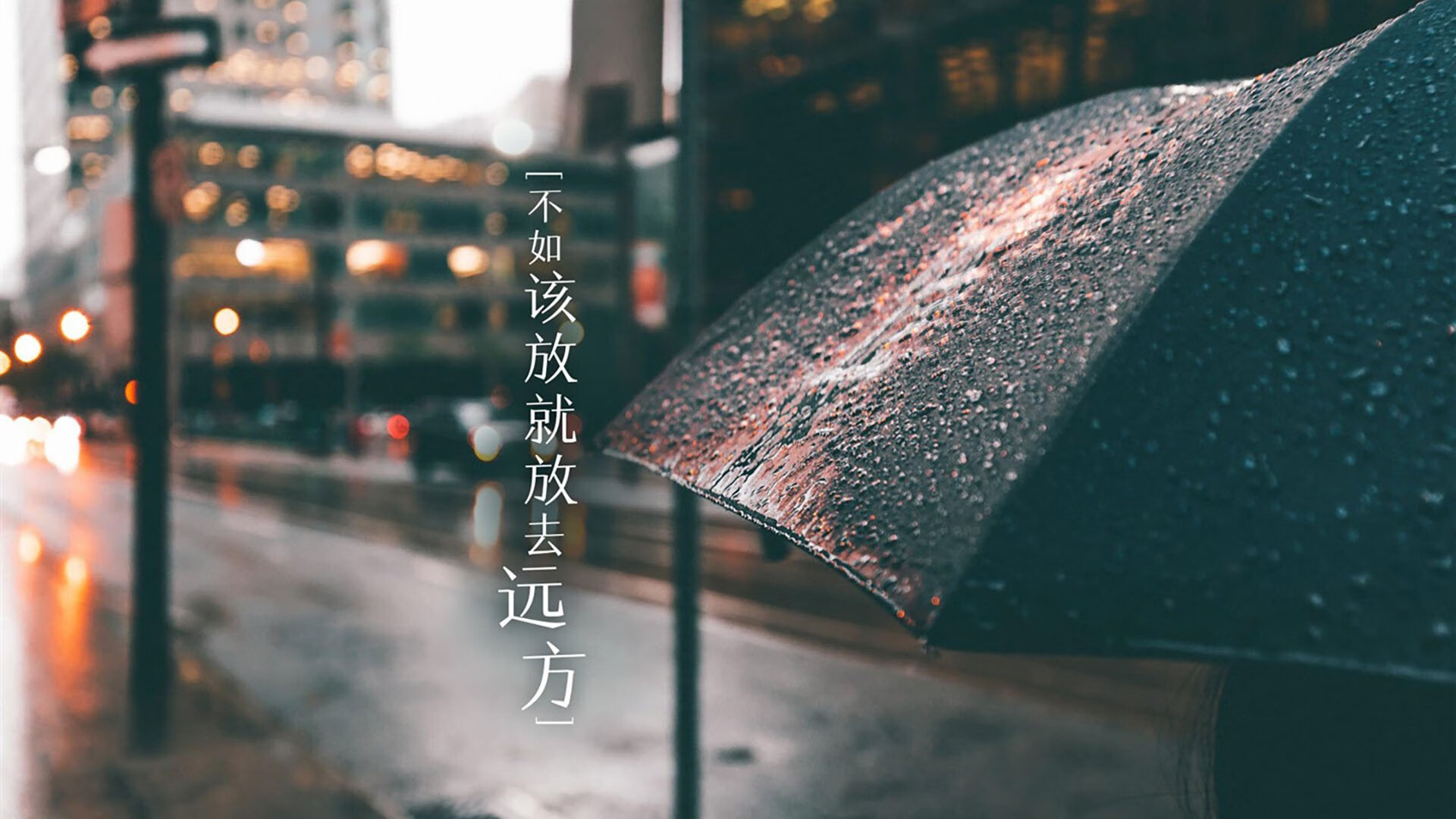 首尔之夜的蓝色狂想,托纳利导演史诗逆转,韩国足球改写2026世界杯剧本