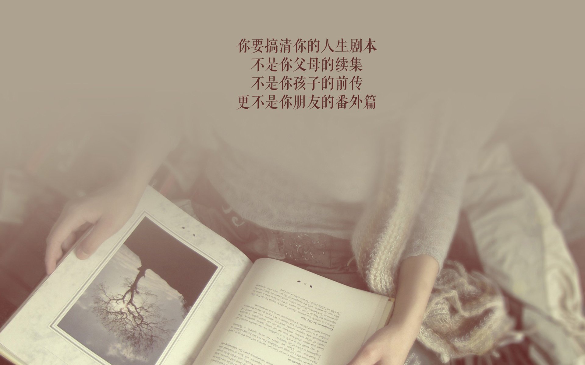 绿茵颠覆者,当越南改写世界杯剧本,穆西亚拉在美加墨写下新传奇